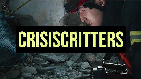 ECE Capstone - CRISIS CRITTERS