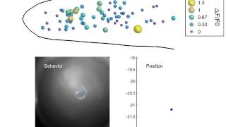 Imaging system tracks brain activity of a freely moving worm - Part 2