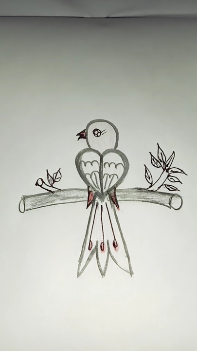 Bird 🐦🐦 easily drawing…#bird #art #easy #drawing #ritu'screation