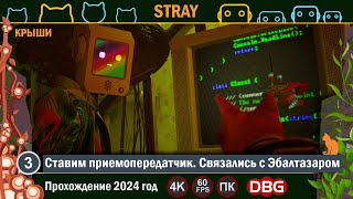 STRAY Прохождение 2024 год - Часть 3 Ставим приемопередатчик. Связались с Эбалтазаром [4K]