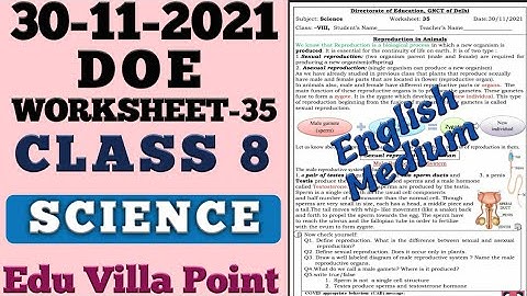 Class 8 Science Worksheet 35(30/11/2021) English Medium | Class 8 Science | Edu Villa Point