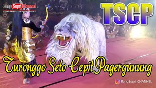 TSCP Joss | Turonggo Seto Cepit Pagergunung | Live perform Merti Dusun Gopaan, Genito 15 Okt 2019