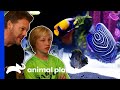 Exotic Fish Amaze WWE Superstar Chris Jericho's Son! | Tanked