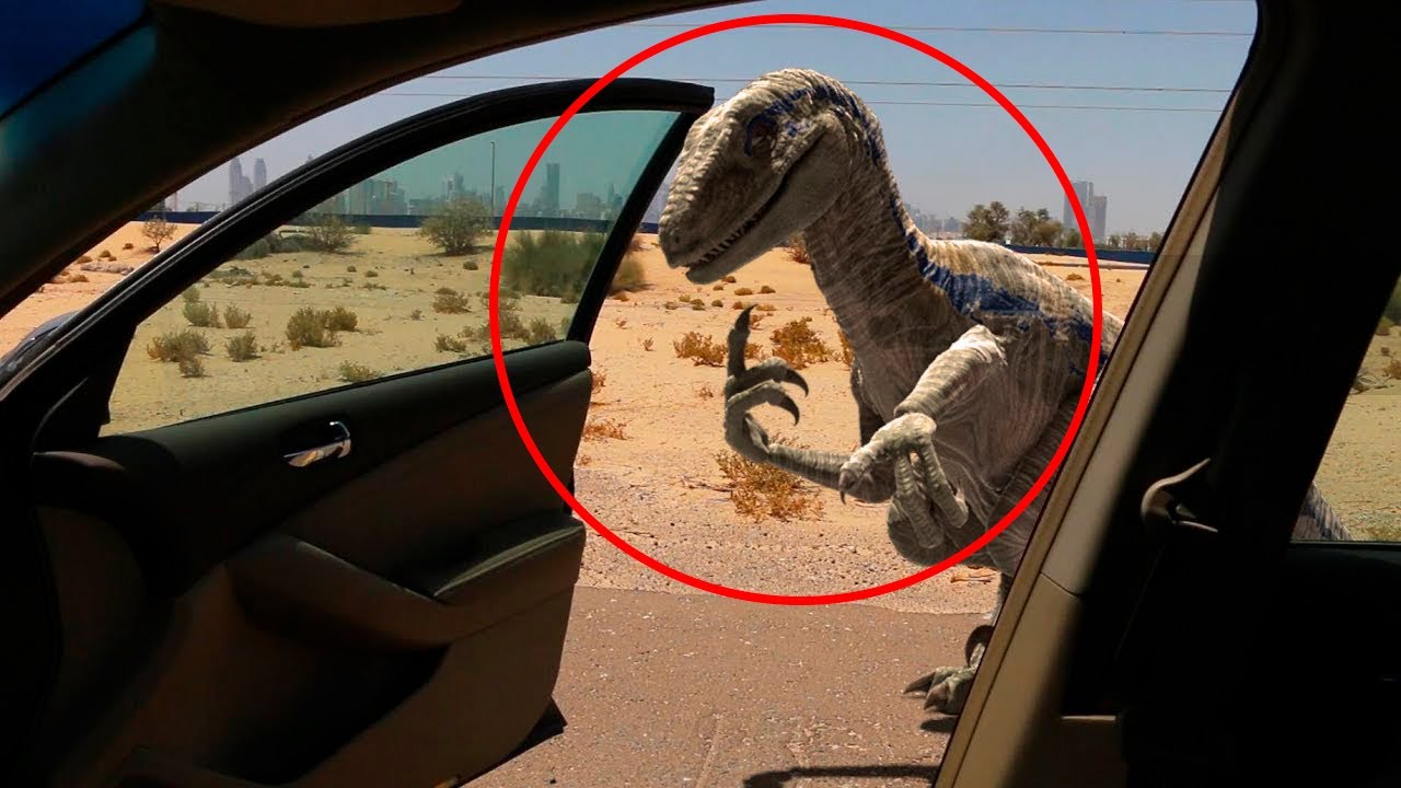 6 Dinosaurios Captados en la Vida Real - YouTube