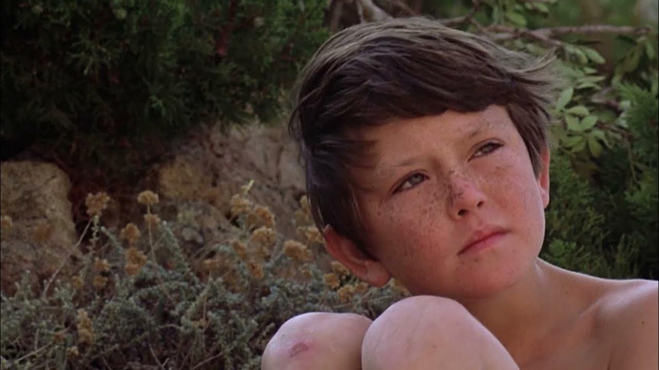 робби / robby (1968. эволюция фильм 2015 lucile hadzihalilovic. Pojkart baikal. Pojkart baikal. Chomikuj.