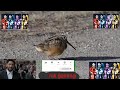 Srivalli song bird 👯👯😊😊😄