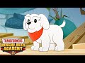 Transformers Official | Furriest Animal Friends on Earth 🐯🐧🐶 w/ Transformers Rescue Bots Academy