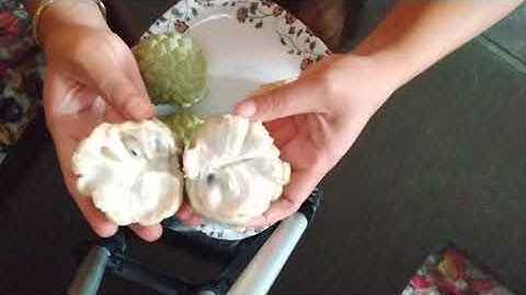Full ripe custard apple part 2