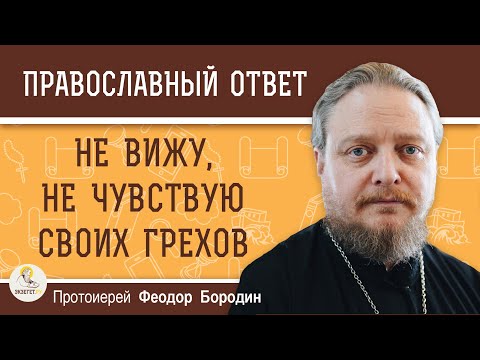 НЕ ВИЖУ И НЕ ЧУВСТВУЮ СВОИХ ГРЕХОВ. Протоиерей Феодор Бородин