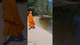 Download Lagu MELANGKAH DALAM KESUNYIAN #buddhism #buddha #buddhist #mindfulness #bhante #sunyi #sufi #login MP3 Download Lagu MELANGKAH DALAM KESUNYIAN #buddhism #buddha #buddhist #mindfulness #bhante #sunyi #sufi #login MP3