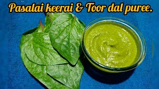 Pasalai keerai/Creeping Spinach and Toor dal puree for babies and toddlers.