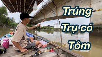 Thương Vlog Câu Tôm - Một Ngày Đi Câu Trúng Tụ Tôm - Luồng Tôm Đi Ăn Mạnh @Xuanthuong91
