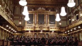 Wiener Musikverein 22.11.2013