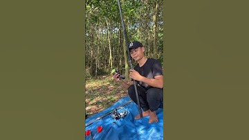 #shorts Trởi Lại Tìm Thuỷ Quái Khe Là