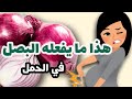 فوائد وأضرار البصل في الحمل نعم هناك فوائد ولكن احذري مما قد يفعله بك