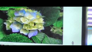 Kinect-Slideshow Gestures