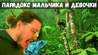 видео: ✓ Задача про лягушек или парадокс мальчика и девочки | В интернете кто-то неправ #010 | Борис Трушин картинка: ✓ Задача про лягушек или парадокс мальчика и девочки | В интернете кто-то неправ #010 | Борис Трушин