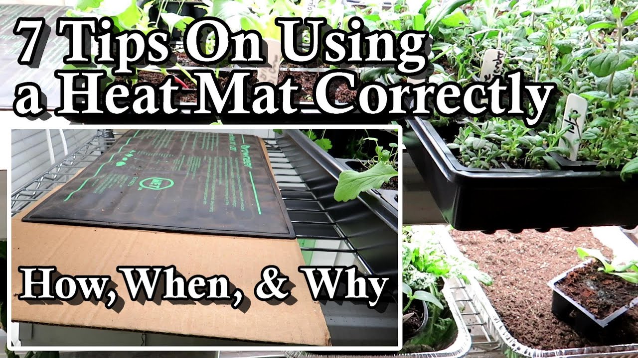 Heat Mats: Are They Really Necessary for Sowing Seeds? - Laidback Gardener