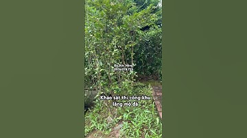 Khu lăng mộ đá #moda #modadep #khulangmoda