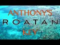 Roatan Honduras - Anthony's Key Resort  - Scuba Diving, Dolphins, & Sharks