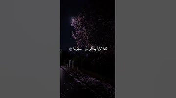 قرآن كريم 🌺🤍 #اكسبلور #لايك #استغفرالله #راحة_نفسية #حالات_واتس #راحه_نفسيه