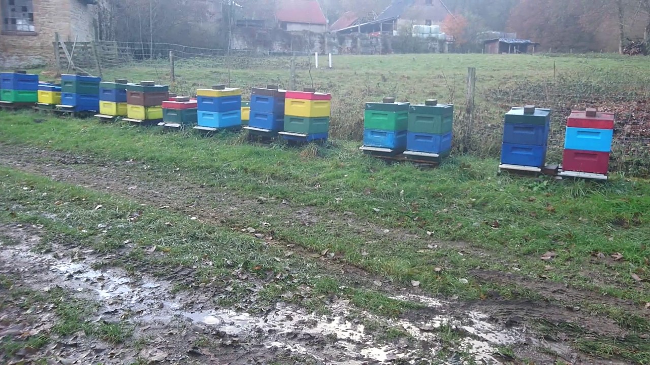 Пчеловодство Германии. 18. November 2016