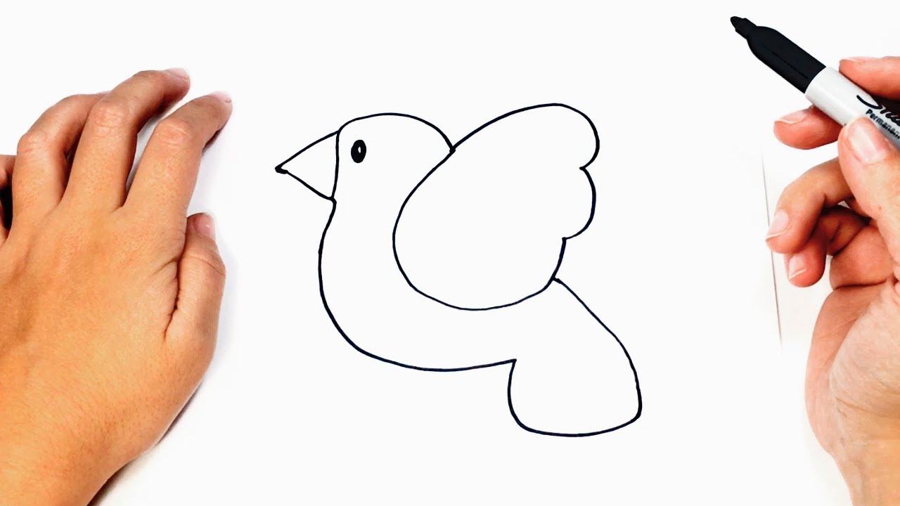 Cómo dibujar un Pajaro Facil paso a paso Dibujo fácil de Pajaro - YouTube.