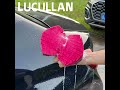 Lucullan Double Side Cross-Cut Red/Black Sponge 2.0 Better Grip and