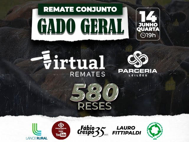 Virtual Remates Ltda