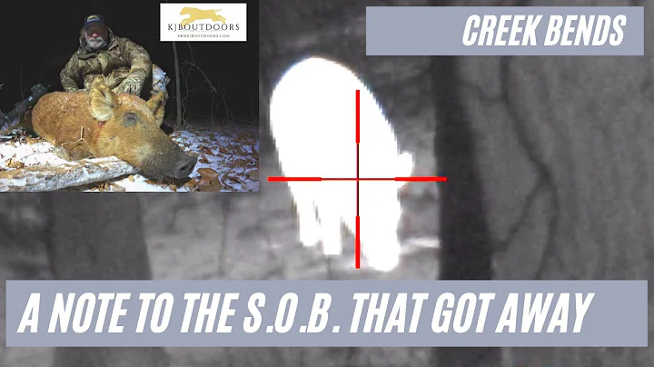 Creek Bends:  A note to the lucky wild boar that g...