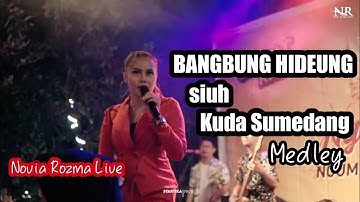 BANGBUNG HIDEUNG MEDLEY - COVER NOVIA ROZMA