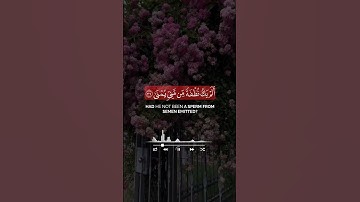 القارئ جابر القيطان من سورة القيامة قرآن كريم تلاوات قرانيه #القران #اكسبلور #راحة_نفسية #لايك