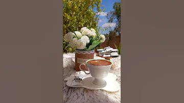 صباح الخير صباح الورد صباح الأمل حالات واتس اب صباحية 