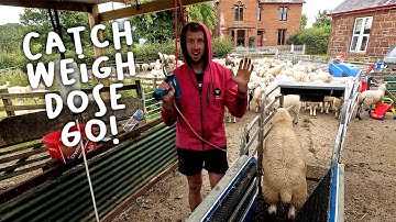 I didn’t listen to the dung sample results!