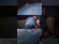 Cops Pull Over Car In Pouring Rain: ‘It’s Ok They’re Making Out’ #cops #copstvshow #policechase
