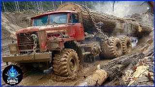 505 Extreme DANGEROUS Huge Wood Logging Truck | Best Of The Week