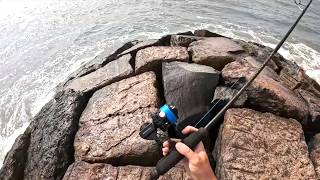 Weakfish, Big Burrfish, Snakes and More! Surf Fishing September on Long Island, NY