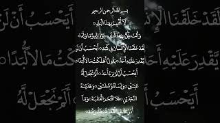 Most Beautiful Voice Surah Al Balad 😍 #quran #qurantilawat #quranrecitation #surah #albalad