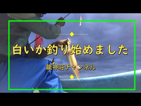 イカ釣り漁始めました Youtube イカ釣り漁始めました Youtube