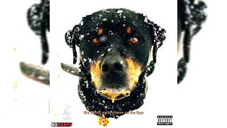 D. Jones - Rottweiler Audio W Lyrics