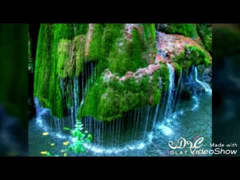 اغنية شو الفكرة 