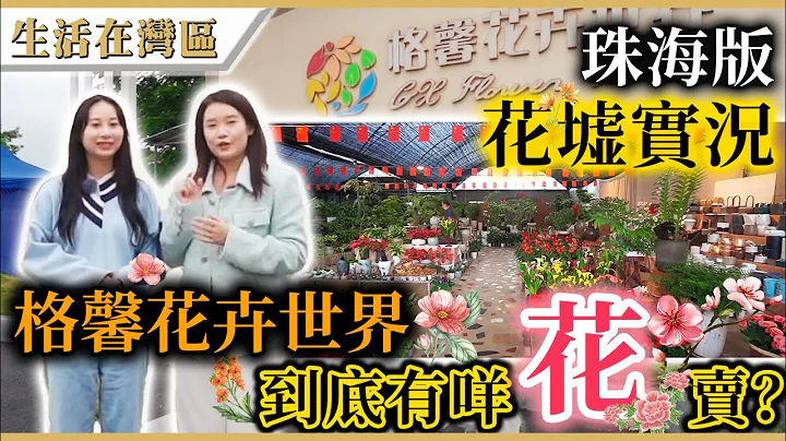 【生活在湾区】珠海版花墟 - 格馨花卉世界，买花赏花好去处，香水柠檬、月桂、蝴蝶兰、满天星等盆栽种类繁多，价钱平，买花友必到最大花卉批发市场！ - 天天要闻