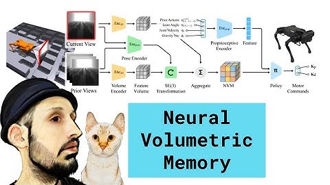 Neural Volumetric Control: Better Robot Doggos