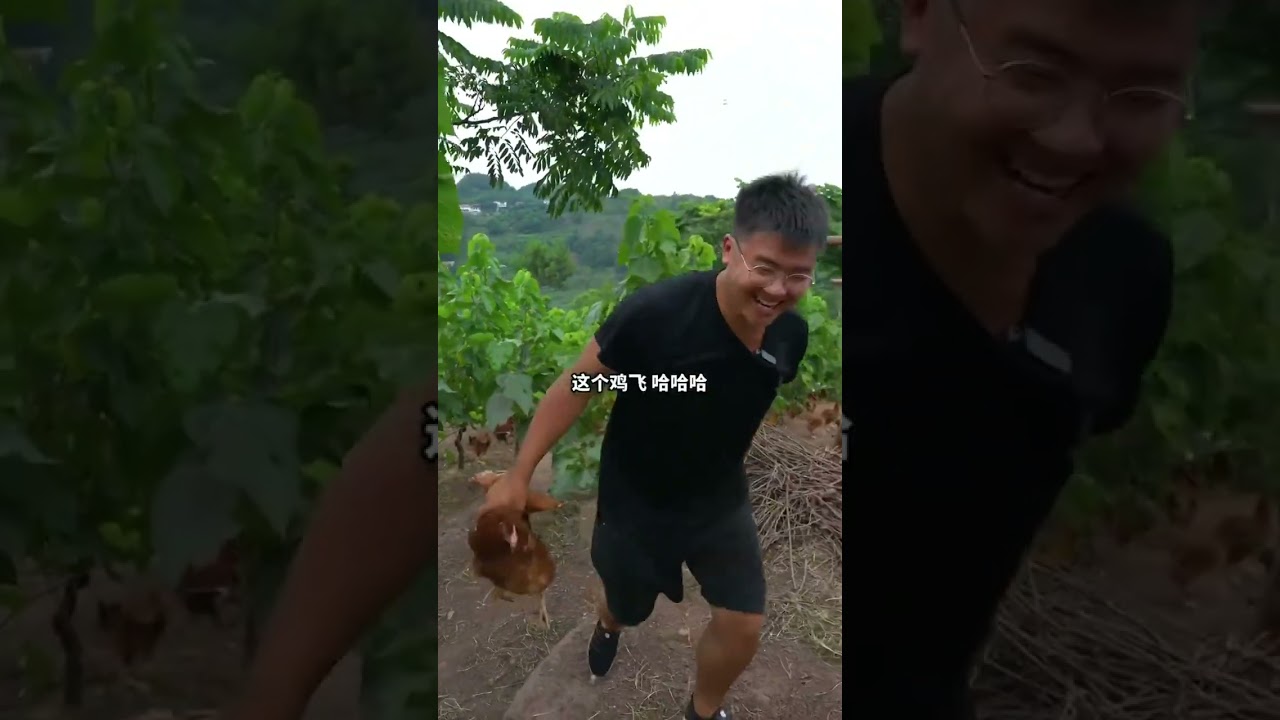 #农村生活 #三农