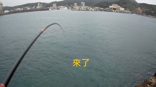 久違的夢幻之魚澳底漁港釣況分享Wild fishing in Taiwan. [嘟嘟 ... 
