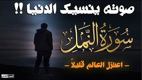 سورة النمل (كاملة) تلاوة تسطر الإبداع و الخشوع و تدمع العيون بصوت القارئ سعدون حمادى المصحف المرتل