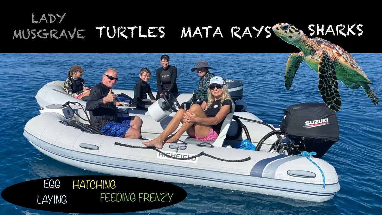 TURTLES, SHARKS & MANTA RAYS – LADY MUSGRAVE