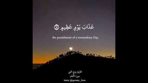 سورة الأنعام بصوت القارئ وديع اليمني