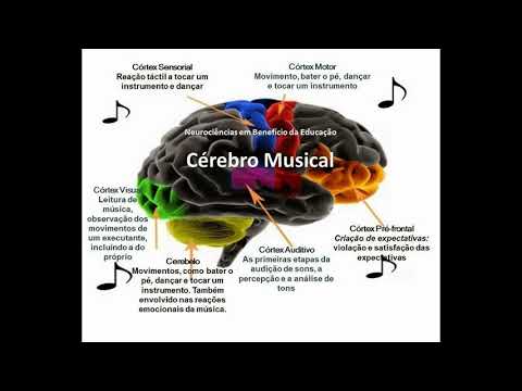 Vídeo: Como Processar Música