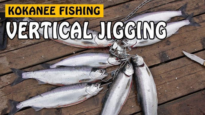 How to Jig for Kokanee - Learn to Fish - Shallow Water Jigging 